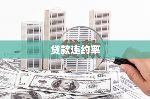 大朗贷款违约率