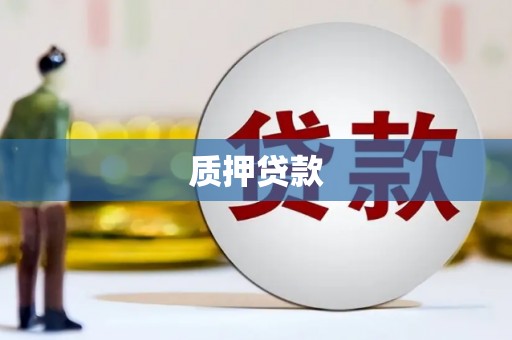 东兴质押贷款
