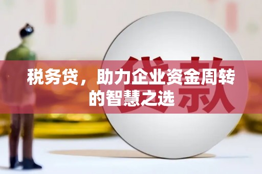 桐庐税务贷，助力企业资金周转的智慧之选