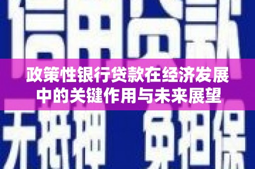 保定政策性银行贷款在经济发展中的关键作用与未来展望