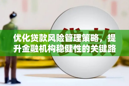 衡东优化贷款风险管理策略，提升金融机构稳健性的关键路径