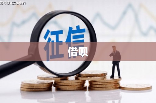 保税区借呗