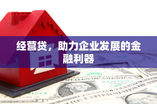 成功经营贷，助力企业发展的金融利器