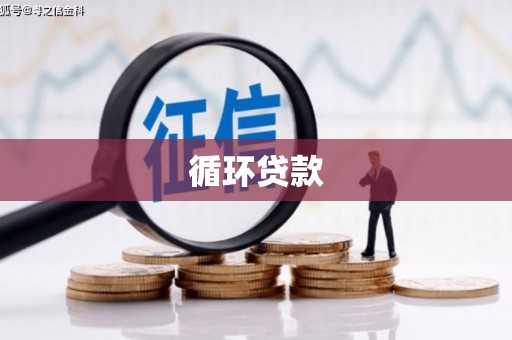 吴忠循环贷款