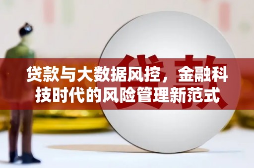 临漳贷款与大数据风控，金融科技时代的风险管理新范式