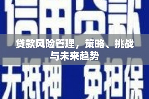 玉树贷款风险管理，策略、挑战与未来趋势