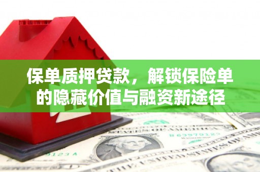 襄阳保单质押贷款，解锁保险单的隐藏价值与融资新途径