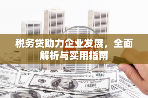 临安税务贷助力企业发展，全面解析与实用指南