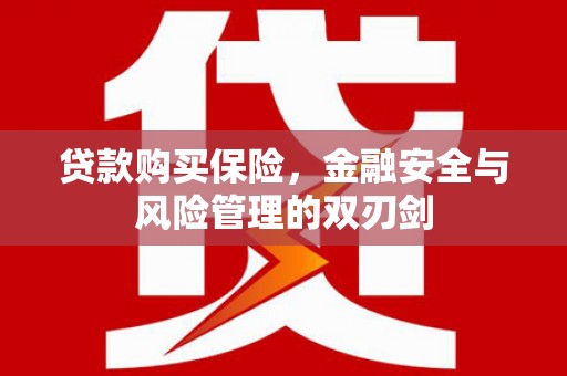 化州贷款购买保险，金融安全与风险管理的双刃剑