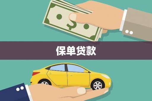 颍泉保单贷款