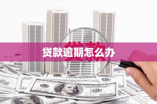 鱼池贷款逾期怎么办