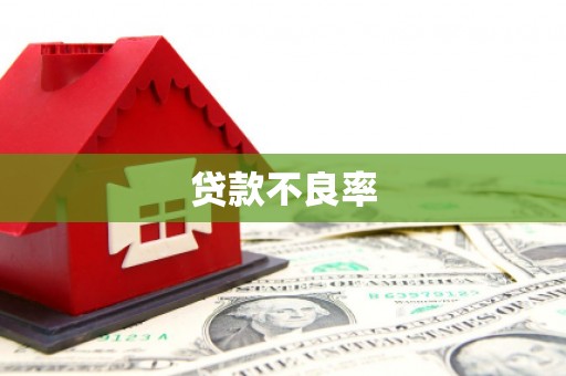 洪梅贷款不良率