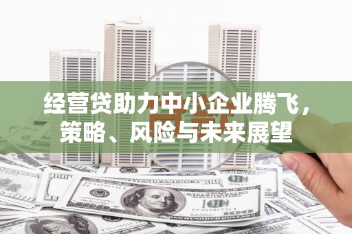 宁城经营贷助力中小企业腾飞，策略、风险与未来展望