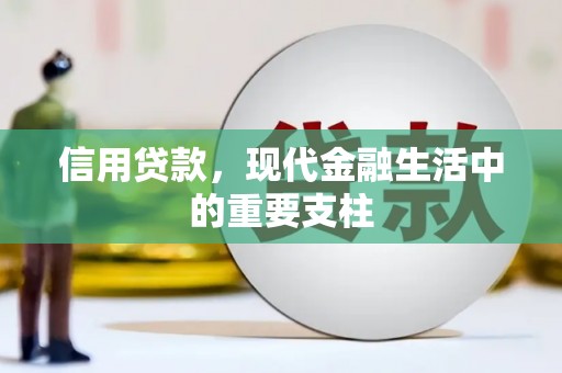 泰顺信用贷款，现代金融生活中的重要支柱