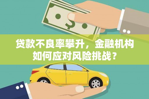 资溪贷款不良率攀升，金融机构如何应对风险挑战？