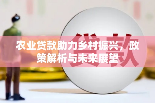 芦洲农业贷款助力乡村振兴，政策解析与未来展望