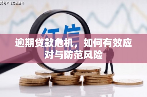 金溪逾期贷款危机，如何有效应对与防范风险
