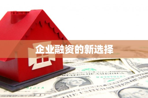 零陵企业融资的新选择