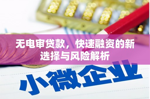 宣汉无电审贷款，快速融资的新选择与风险解析