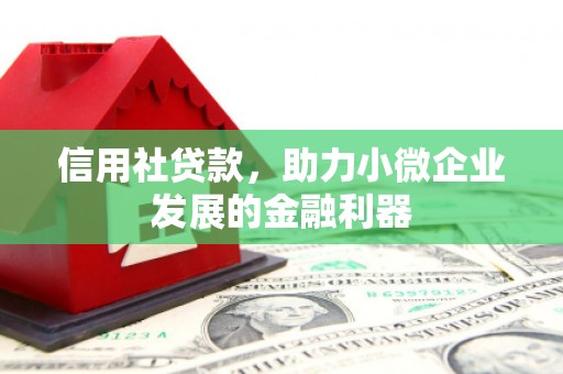 仁寿信用社贷款，助力小微企业发展的金融利器
