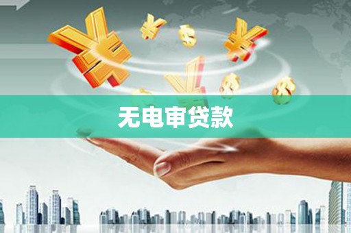 大余无电审贷款