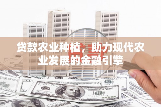 东西湖贷款农业种植，助力现代农业发展的金融引擎