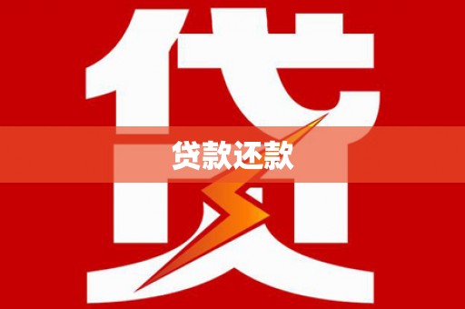 乐都贷款还款