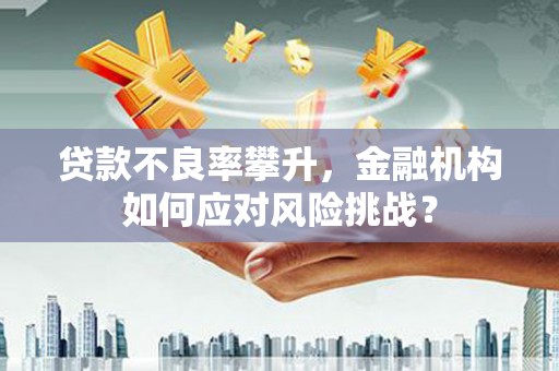 那玛夏贷款不良率攀升，金融机构如何应对风险挑战？