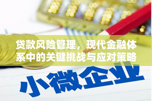 源汇贷款风险管理，现代金融体系中的关键挑战与应对策略