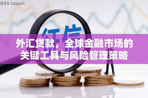 临沧外汇贷款，全球金融市场的关键工具与风险管理策略