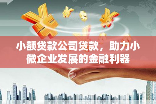 万峦小额贷款公司贷款，助力小微企业发展的金融利器