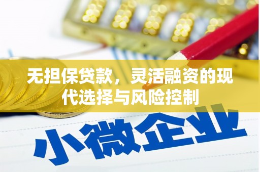 东兴无担保贷款，灵活融资的现代选择与风险控制