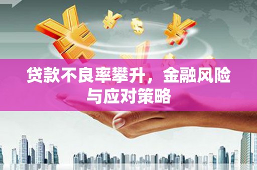 剑河贷款不良率攀升，金融风险与应对策略