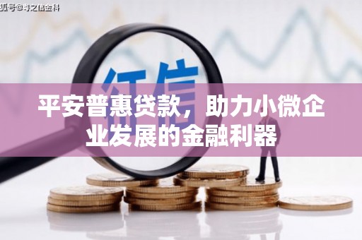 克什克腾旗平安普惠贷款，助力小微企业发展的金融利器