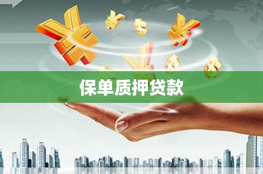 纳雍保单质押贷款