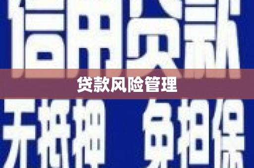 樊城贷款风险管理