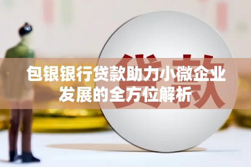 秦汉包银银行贷款助力小微企业发展的全方位解析