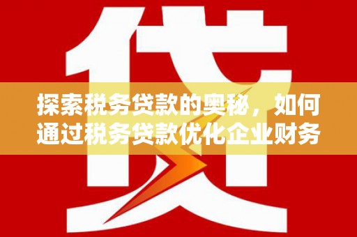 芦淞探索税务贷款的奥秘，如何通过税务贷款优化企业财务