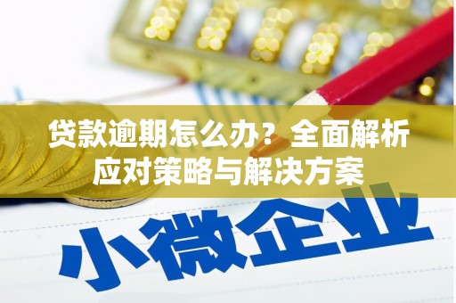 昌乐贷款逾期怎么办？全面解析应对策略与解决方案