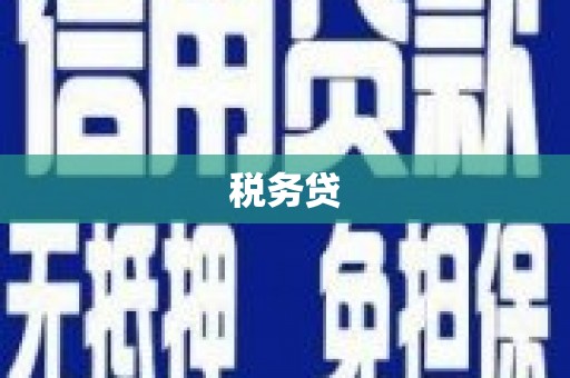 杂多税务贷