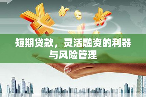 自贡短期贷款，灵活融资的利器与风险管理