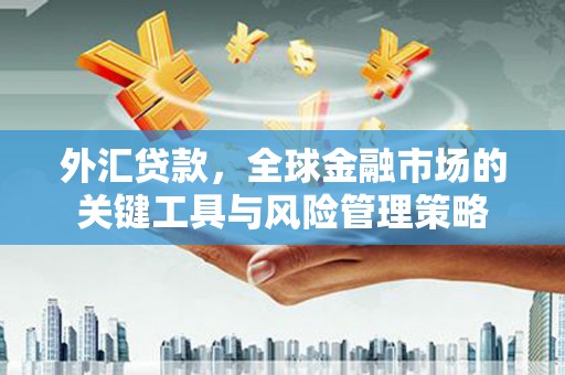 洛南外汇贷款，全球金融市场的关键工具与风险管理策略