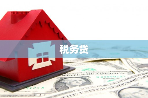 沙坪坝税务贷