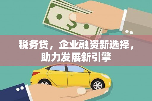 四湖税务贷，企业融资新选择，助力发展新引擎
