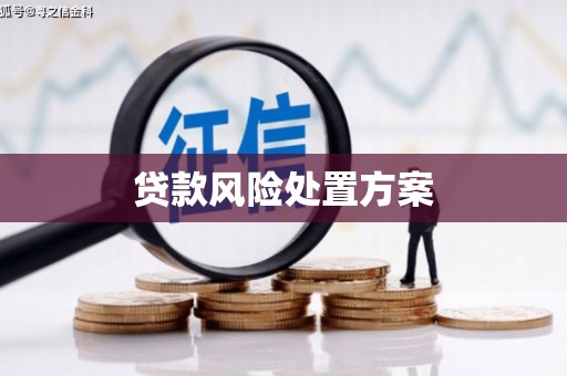 安岳贷款风险处置方案