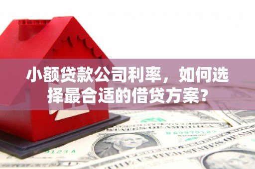 五河小额贷款公司利率，如何选择最合适的借贷方案？