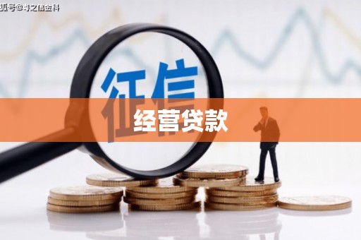 马山经营贷款