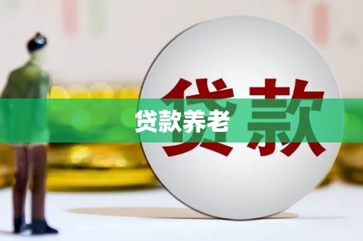木垒贷款养老