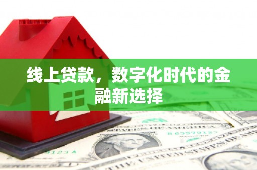 大武线上贷款，数字化时代的金融新选择