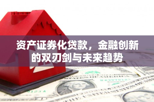 林芝资产证券化贷款，金融创新的双刃剑与未来趋势